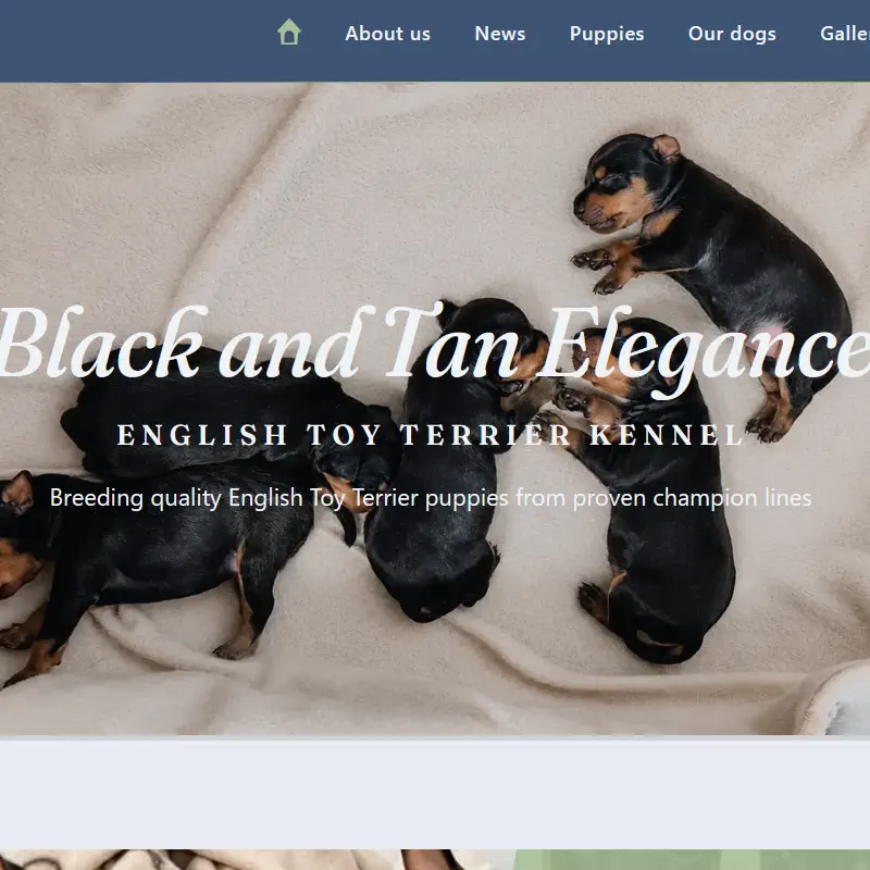 Black and Tan Elegance - English Toy Terrier Kennel website screenshot